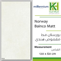 Picture of Indian matt porcelain tile 60x120 cm Norway Bianco